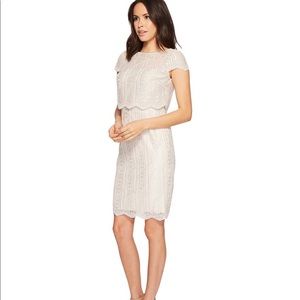 Adrianna papell popover embroidered lace dress